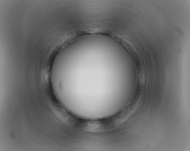 X0000115220214200911121931