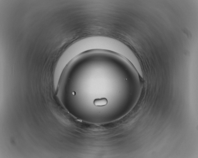 X0000115220215200911121931