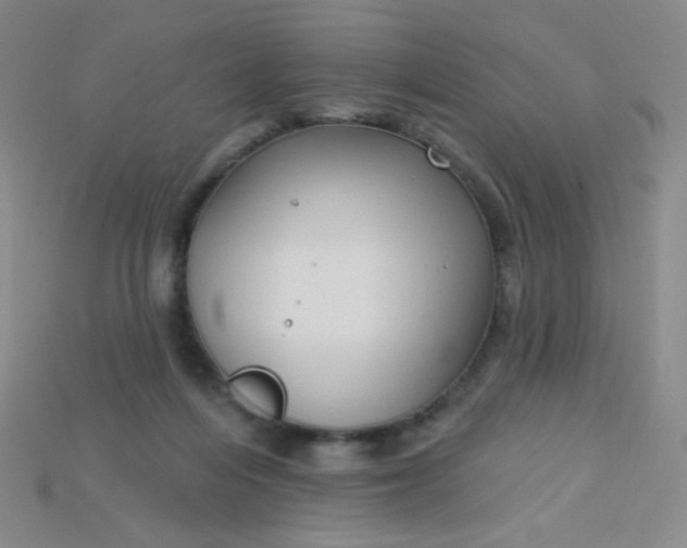 X0000115220216200911121931
