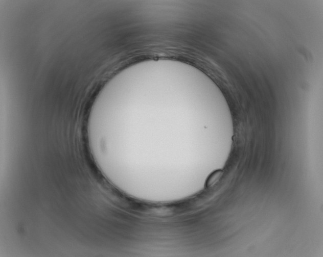 X0000115220217200911121931
