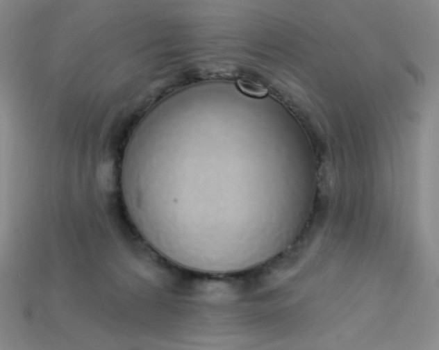 X0000115220224200911121931
