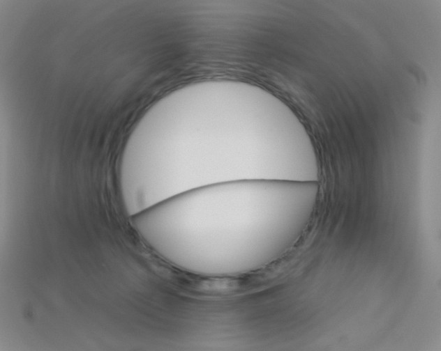 X0000115220225200911121931