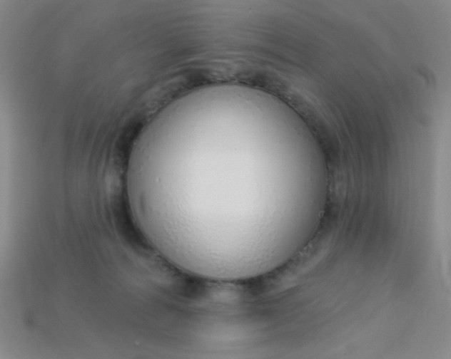X0000115220226200911121931