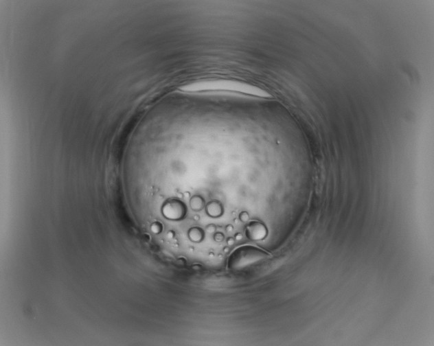 X0000115220228200911121931
