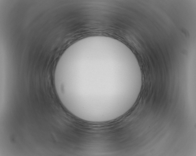 X0000115220229200911121931