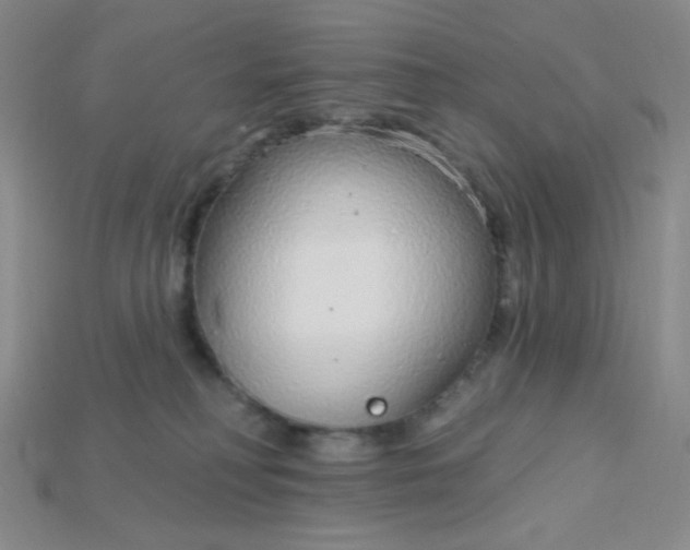 X0000115220230200911121931