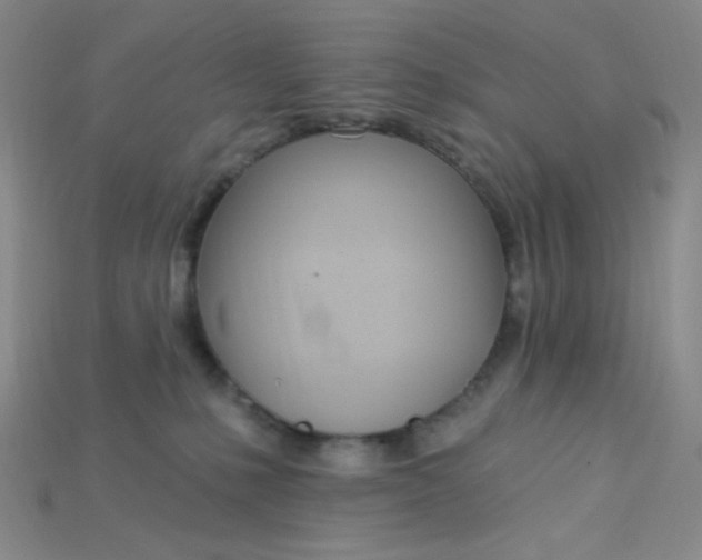 X0000115220231200911121931