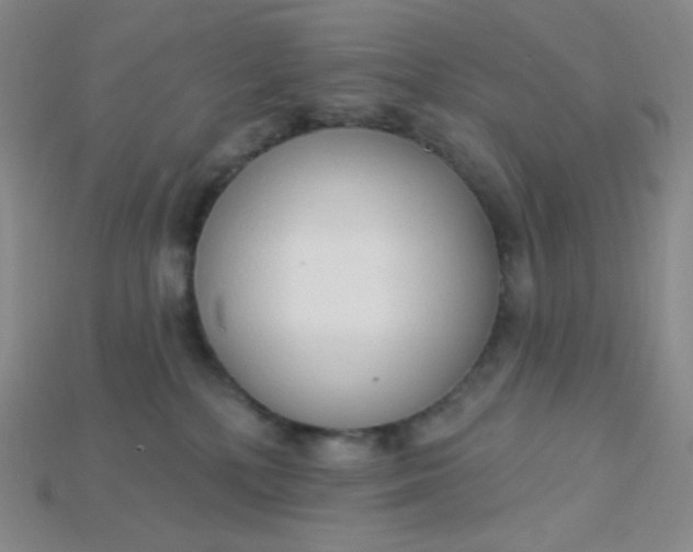 X0000115220232200911121931