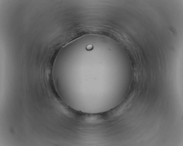X0000115220235200911121931