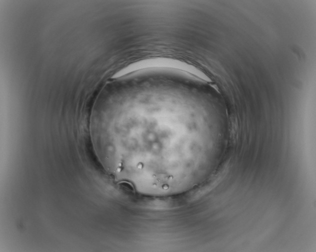 X0000115220236200911121931