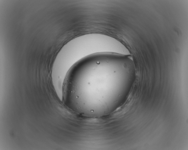 X0000115220237200911121931