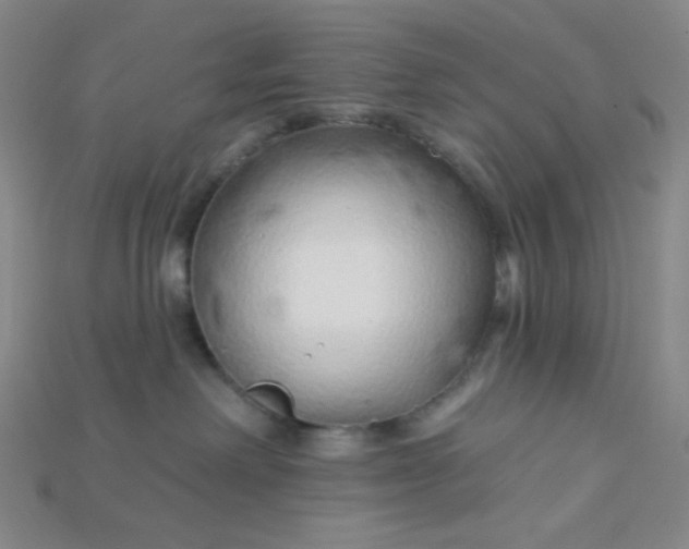 X0000115220238200911121931