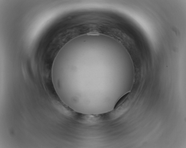 X0000115220239200911121931