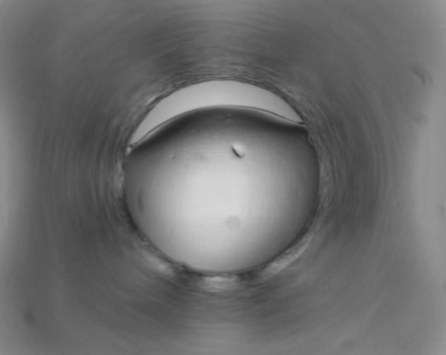 X0000115220240200911121931