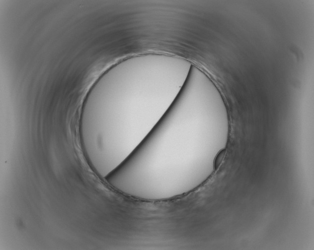 X0000115220241200911121930