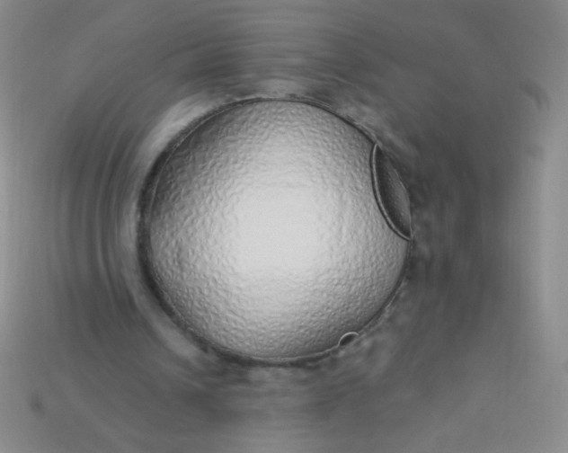 X0000115220242200911121930