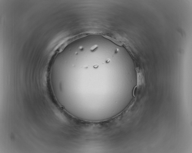 X0000115220243200911121930