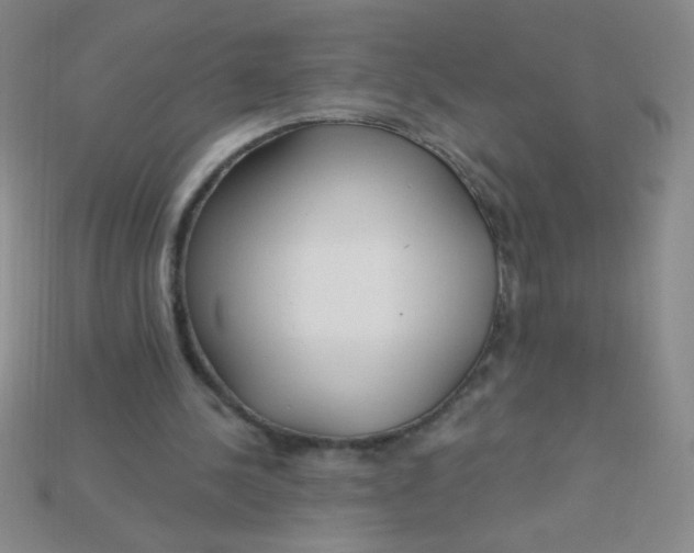 X0000115220244200911121930