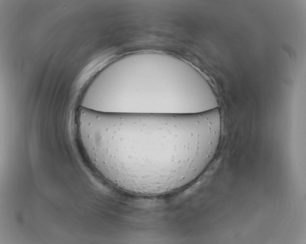 X0000115220245200911121930