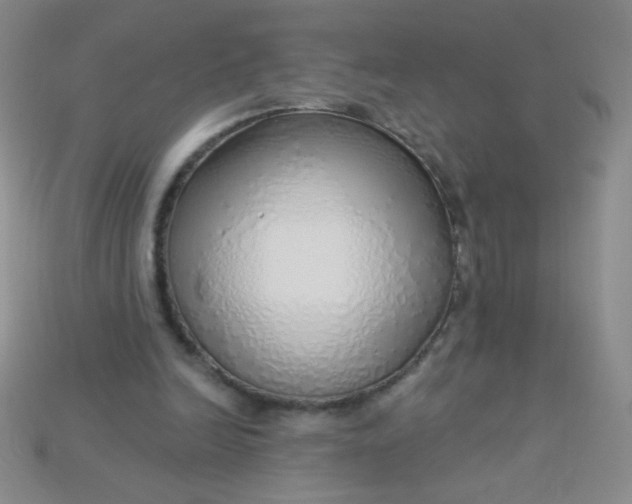 X0000115220246200911121930