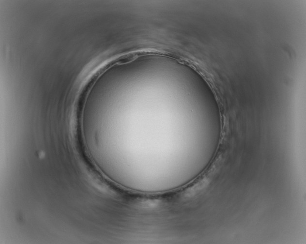 X0000115220247200911121930