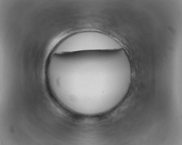 X0000115220248200911121930