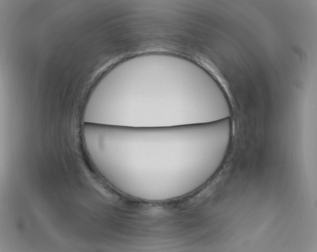 X0000115220249200911121930
