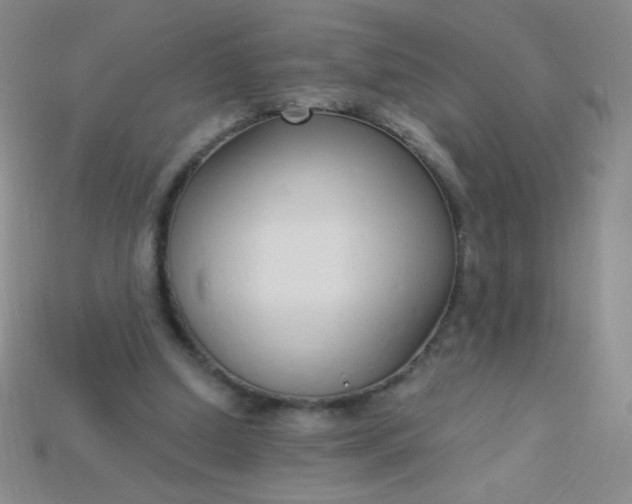X0000115220250200911121930