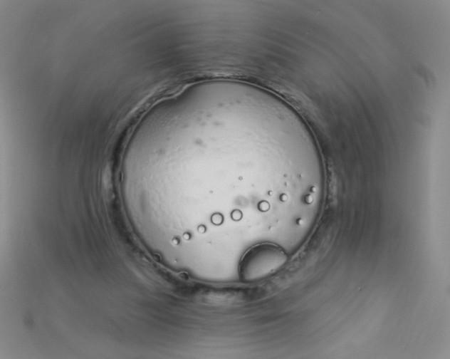 X0000115220251200911121930