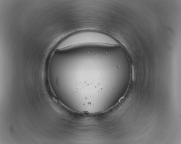 X0000115220252200911121930