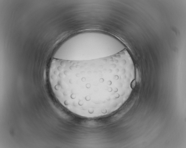 X0000115220253200911121930