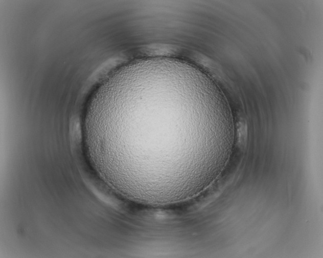 X0000115220254200911121930