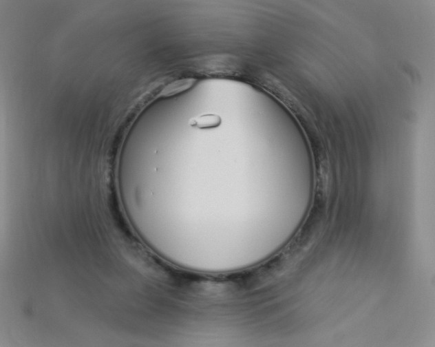 X0000115220255200911121930