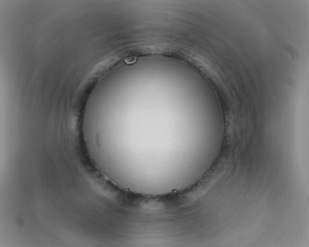X0000115220258200911121930