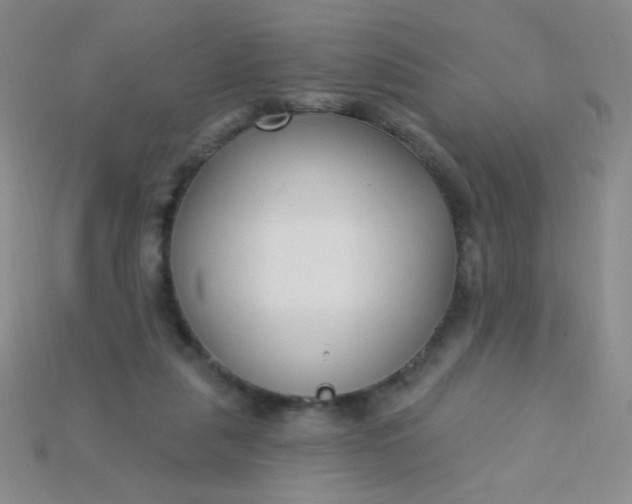 X0000115220259200911121930