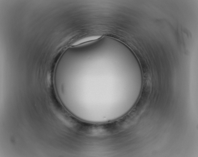 X0000115220262200911121930