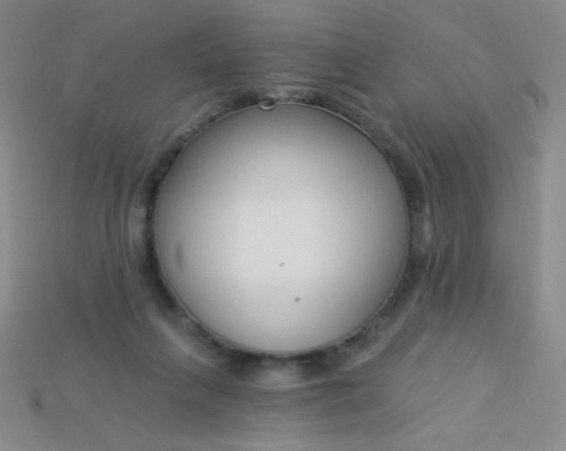 X0000115220263200911121930