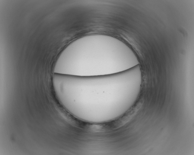 X0000115220265200911121930