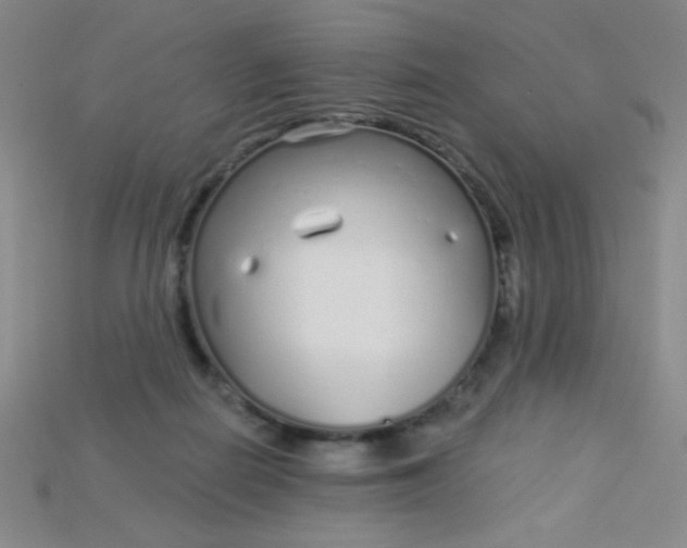X0000115220266200911121930