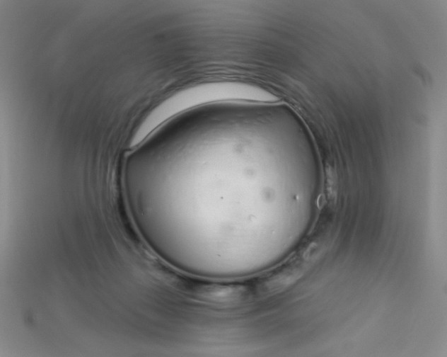 X0000115220267200911121930