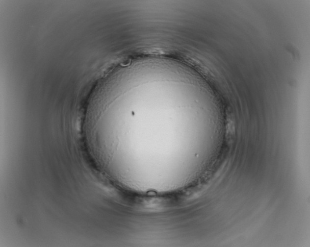 X0000115220268200911121930