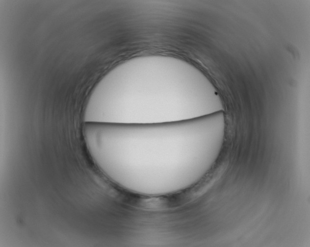 X0000115220269200911121930