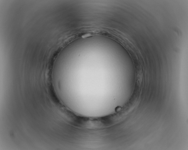 X0000115220270200911121931