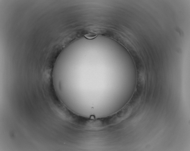 X0000115220271200911121931