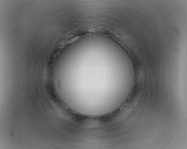 X0000115220272200911121931