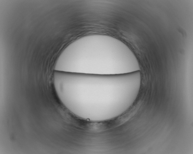 X0000115220273200911121931