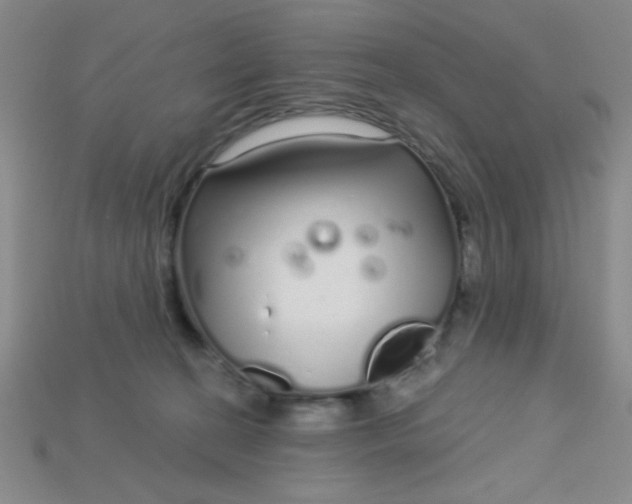 X0000115220274200911121931
