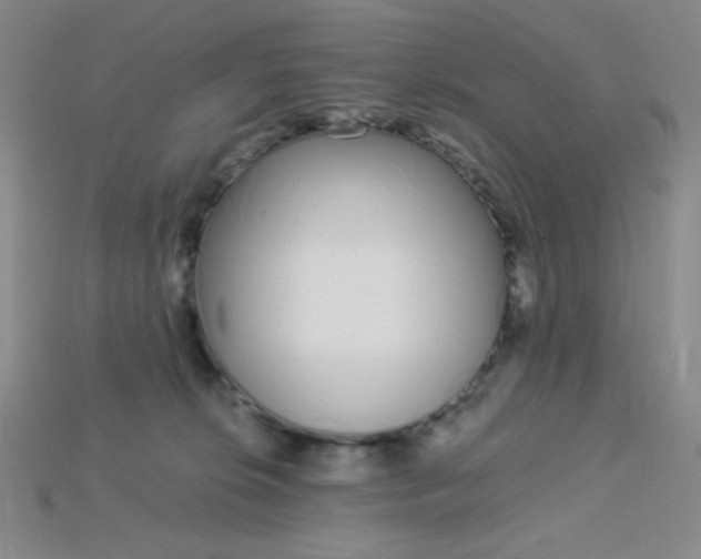 X0000115220276200911121931