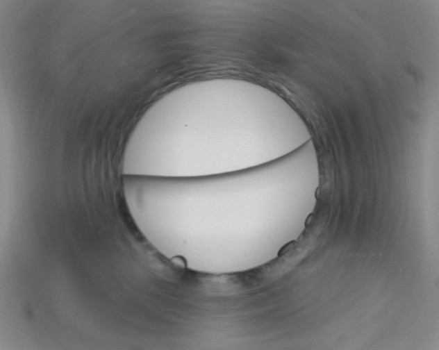 X0000115220281200911121931