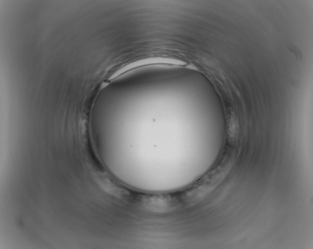 X0000115220282200911121931